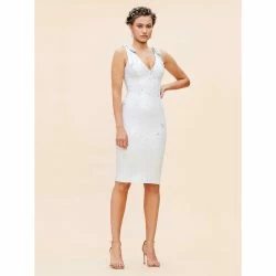 Dress The Population Mary Dress