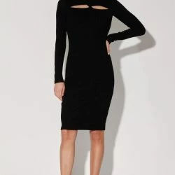 Walter Baker Tenley Dress, Black