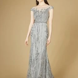 Lara Cap Sleeve, Mermaid Lace Gown With High Neck