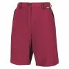 Regatta Womens/Ladies Chaska II Walking Shorts (Dark Cerise)