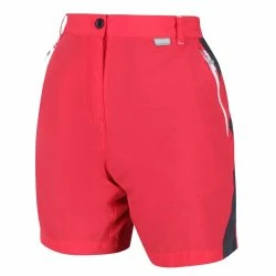 Regatta Womens/Ladies Sungari II Walking Shorts (Red Sky/Seal Gray)