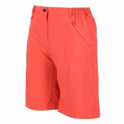 Regatta Womens/ladies Xert Stretch Shorts -ANNA-KACI SHOP M05063107121912 2847249129