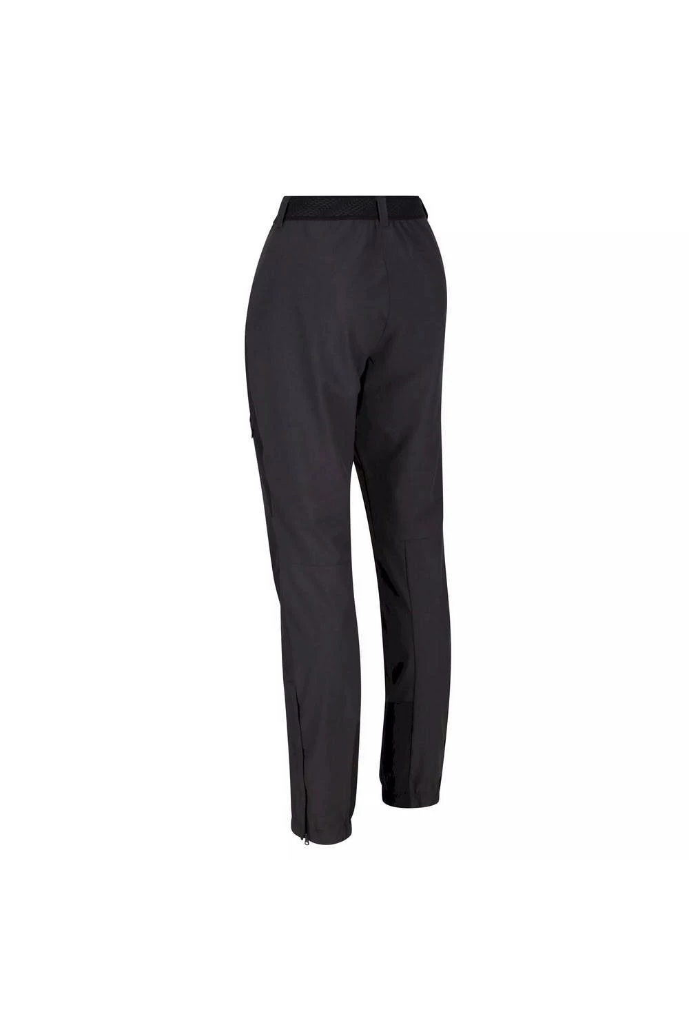 Regatta Womens/Ladies Mountain III Hiking Trousers 3 Regatta Womens/Ladies Mountain III Hiking Trousers - Image 3